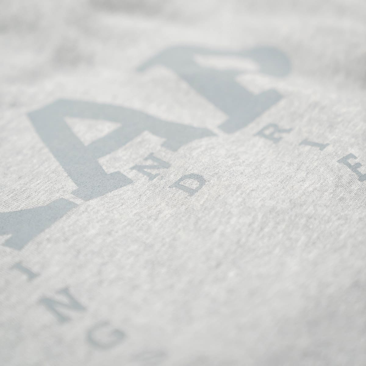 Hoodie Noha | Unisex grau melange | KINGS AND PRIESTS
